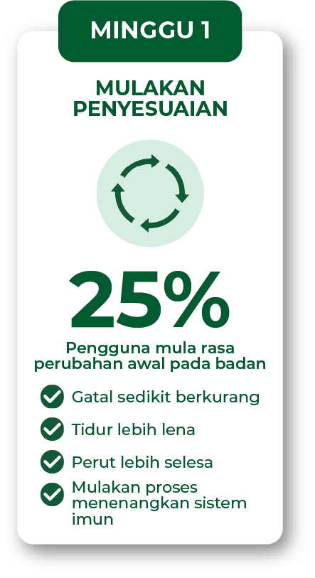 Infografik minggu 1 penggunaan Filogya