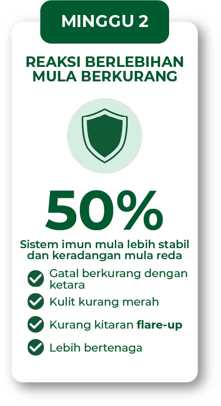 Infografik minggu 2 penggunaan Filogya