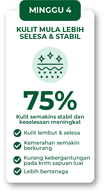 Infografik minggu 4 penggunaan Filogya